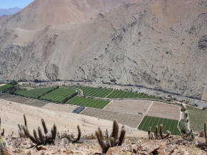 Dirección de Arquitectura impulsa cuatro proyectos de edificación pública en el Valle del Elqui