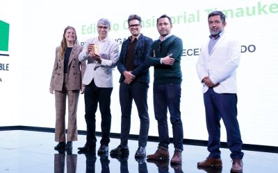Premio CES 2025: Magallanes y Araucanía cuentan con los diseños de edificios públicos más sustentables del país