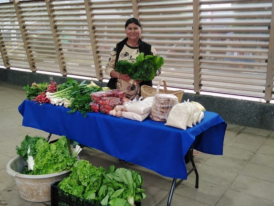 Pérgola de Galvarino: Infraestructura al servicio de la autonomía económica de las mujeres mapuche